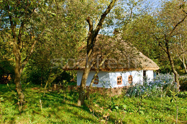 old  house with a thatched roof Stock photo © alinamd