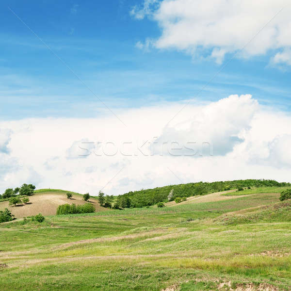 Terep kék ég tavasz fű természet tájkép Stock fotó © alinamd