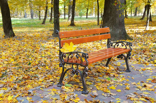 beautiful autumn park with paths and benches Stock photo © alinamd