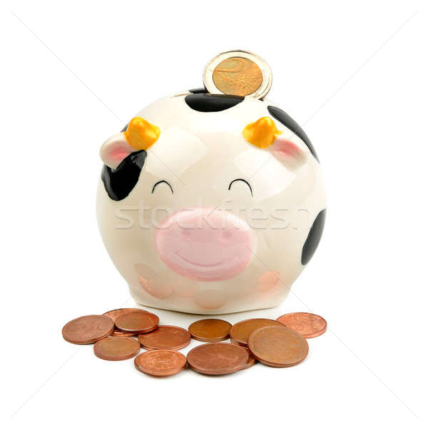 moneybox Stock photo © alinamd