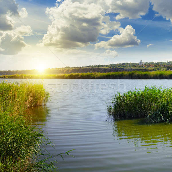 thickets of reeds on the lake and sun Stock photo © alinamd