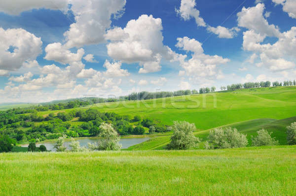 Pittoresque vert domaine ciel bleu printemps forêt [[stock_photo]] © alinamd