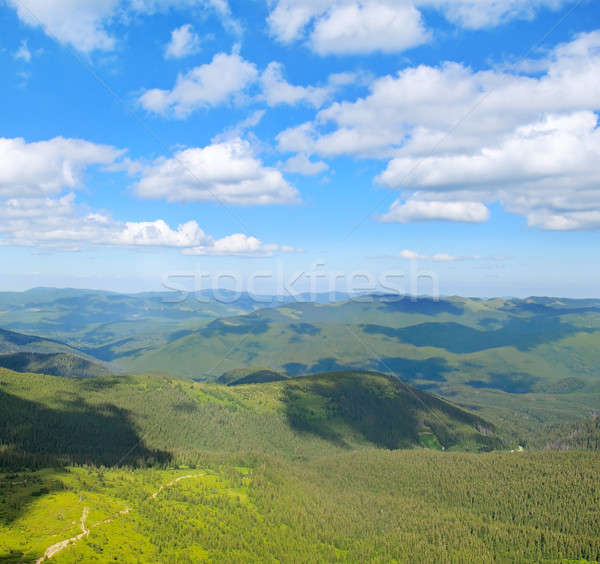 Munte acoperit munţi copaci Blue Sky copac Imagine de stoc © alinamd
