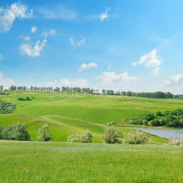 Pittoresco verde campo cielo blu albero nubi Foto d'archivio © alinamd