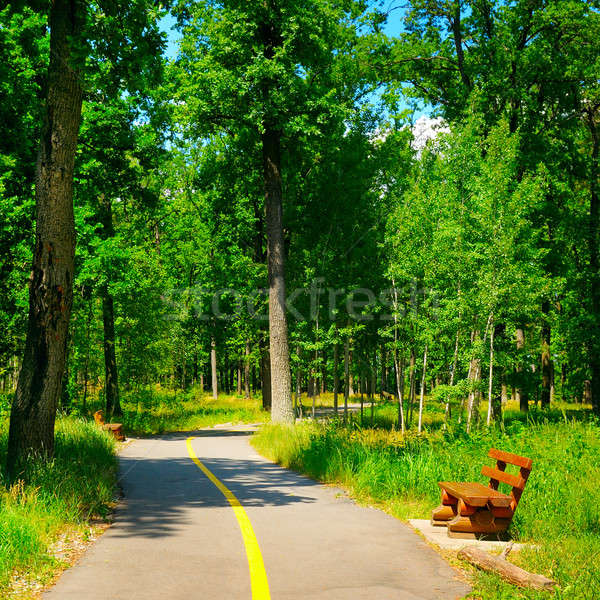 summer park with beautiful walking paths Stock photo © alinamd