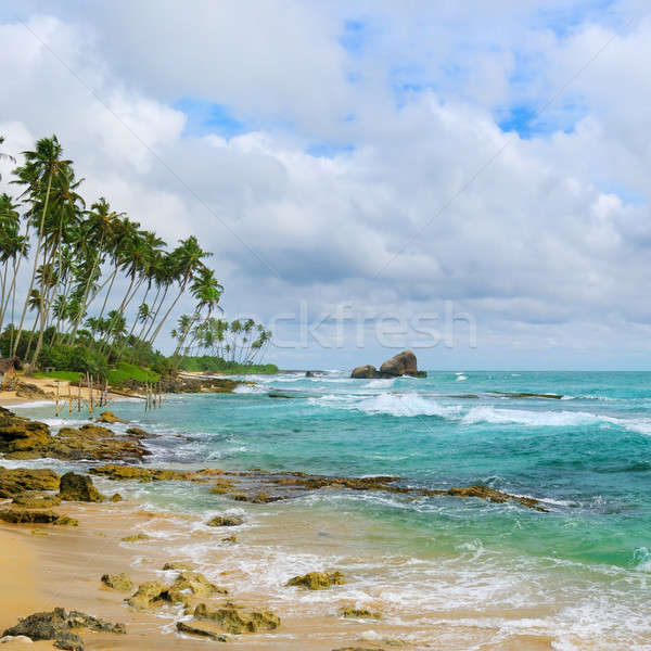 Ocean pittoresco spiaggia cielo blu cielo acqua Foto d'archivio © alinamd