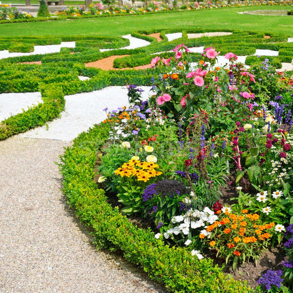 Verrukkelijk flower bed zomer park voorjaar gras Stockfoto © alinamd