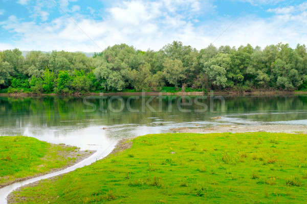 Stock photo: plain river with inflows and floodplain forest