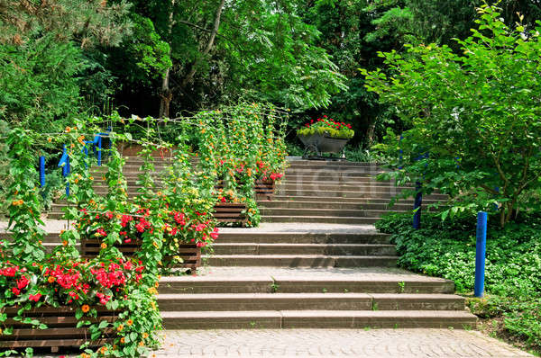 staircase in the cozy park Stock photo © alinamd