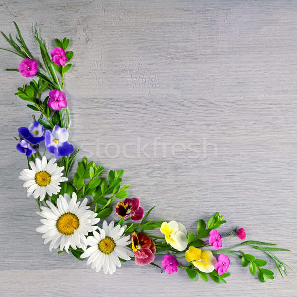Flowers composition.Flat lay, top view Stock photo © alinamd