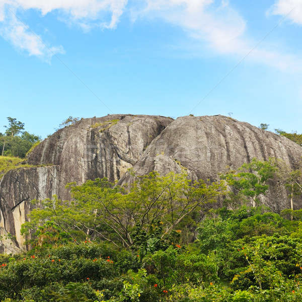 mountains and blue sky in Sri Lanka Stock photo © alinamd