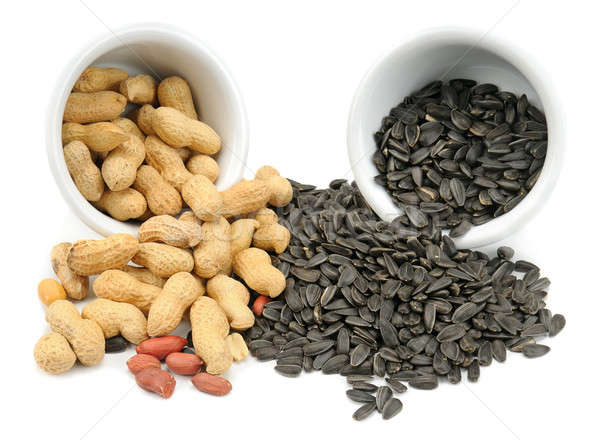 The fruits of peanuts and sunflower seeds Stock photo © alinamd