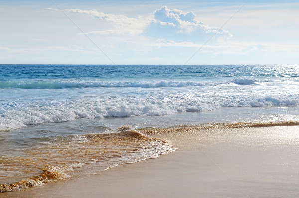 Zeegezicht zand strand blauwe hemel wolken achtergrond Stockfoto © alinamd