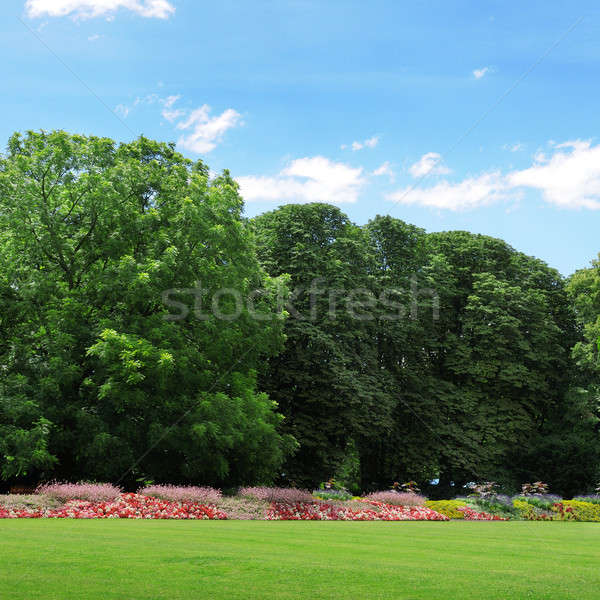 Summer garden with lawn and flower garden Stock photo © alinamd