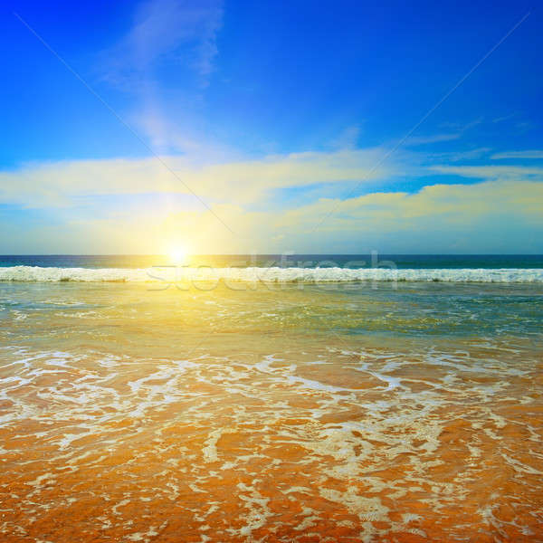 日出    水    春天 / ocean, sandy beach, blue sky and sunrise