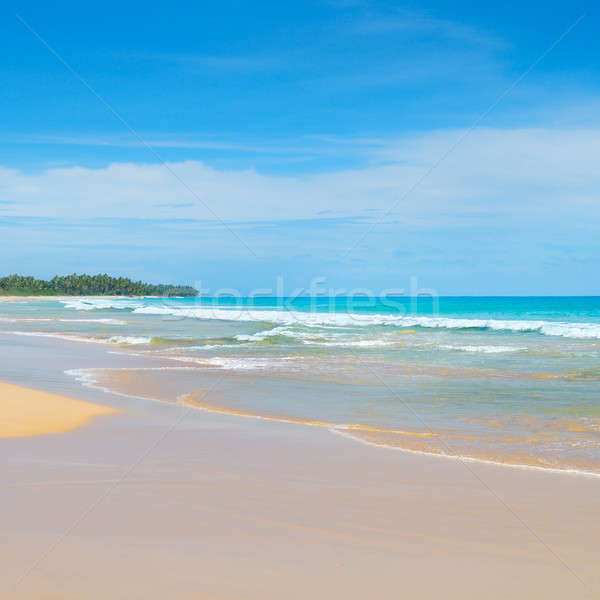 Piękna ocean długo plaża piaszczysta tropikalnych roślinność Zdjęcia stock © alinamd