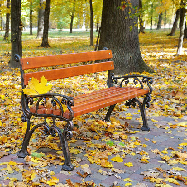 beautiful autumn park with paths and benches Stock photo © alinamd