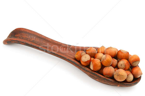 Wald Nüsse Haselnüsse isoliert weiß Essen Stock foto © alinamd