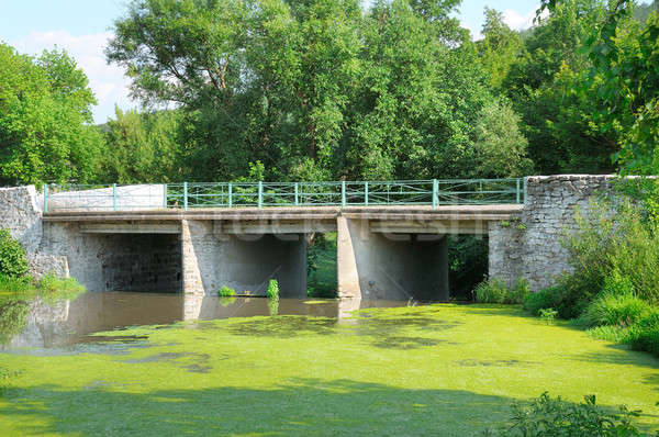 橋 川 水生の 植物 空 森林 ストックフォト © alinamd