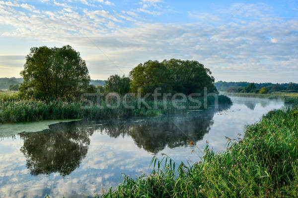 Photo with a sunny summer sunrise over the river Stock photo © AlisLuch