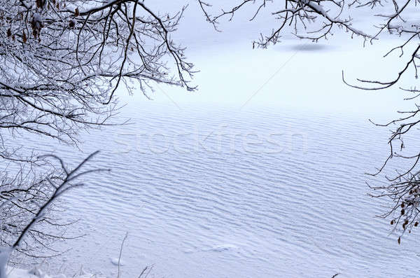 View frame rami congelato costa ramo Foto d'archivio © AlisLuch