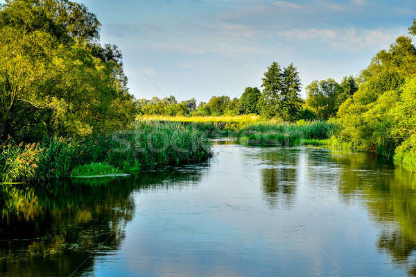 Photo with a river on a clear summer day, landscape Stock photo © AlisLuch