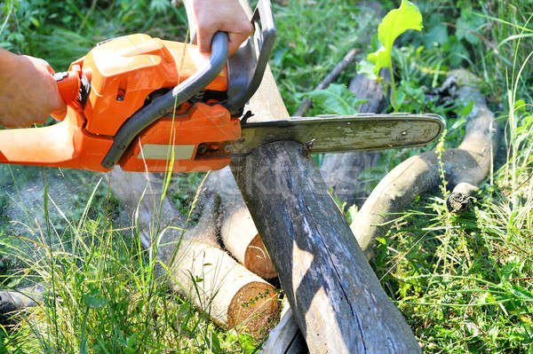 Kettensäge geschnitten Holz Schneiden elektrische Wald Stock foto © AlisLuch