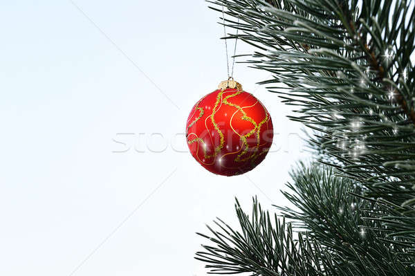 Natale palla impiccagione pino foresta albero Foto d'archivio © AlisLuch
