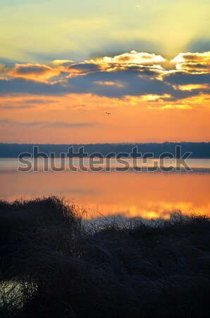 Foto stock: Nascer · do · sol · lago · de · manhã · cedo · belo · nuvens · água