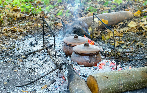 Glina puli węgiel drzewny ognia charakter lasu Zdjęcia stock © AlisLuch