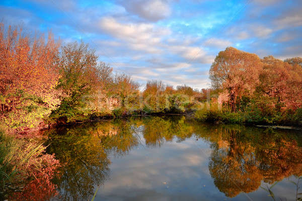 Panorama colorato autunno alberi fiume acqua Foto d'archivio © AlisLuch