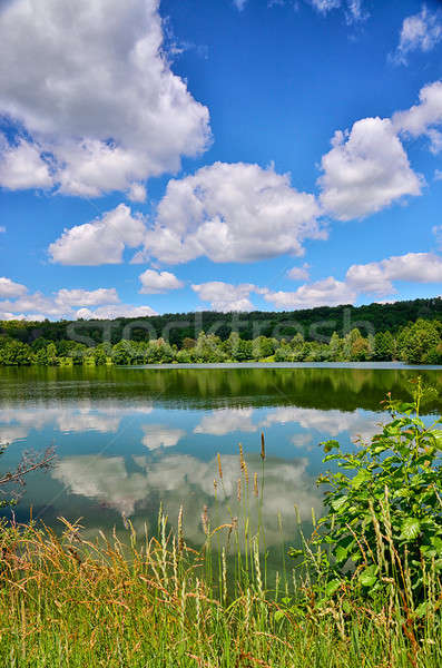 Estate panorama fiume basso nubi Foto d'archivio © AlisLuch
