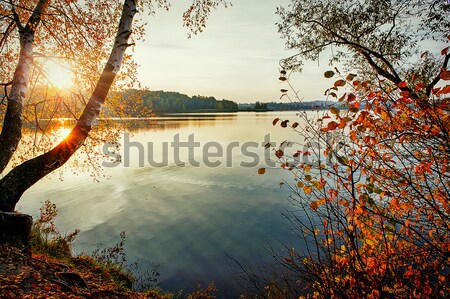 Autumn sunset on the lake Stock photo © AlisLuch