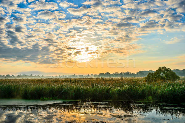 Photo with a sunny summer sunrise over the river Stock photo © AlisLuch