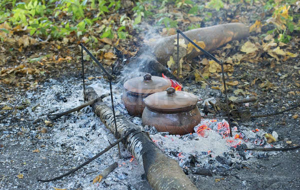 Argilla pot carbone di legna foresta natura verde Foto d'archivio © AlisLuch