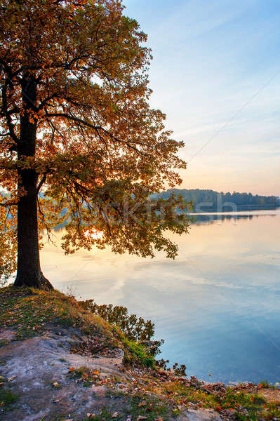 Autumn sunset on the lake Stock photo © AlisLuch