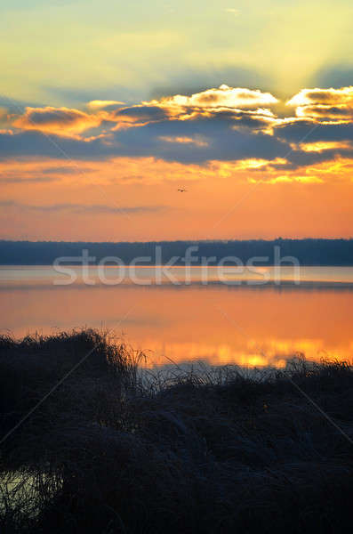 Foto stock: Nascer · do · sol · lago · de · manhã · cedo · belo · nuvens · água