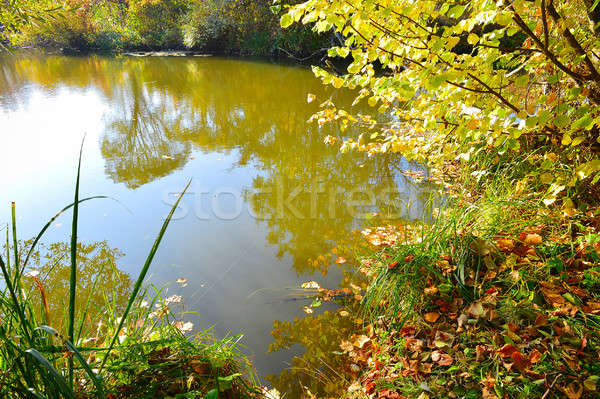 Colorato autunno panorama fiume view banca Foto d'archivio © AlisLuch