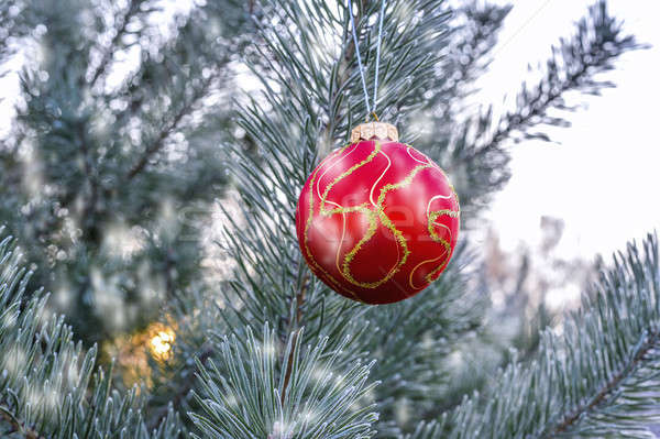 Nuovo anni palla impiccagione ramo albero di natale Foto d'archivio © AlisLuch