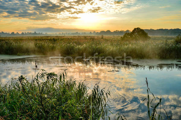 Photo with a sunny summer sunrise over the river Stock photo © AlisLuch