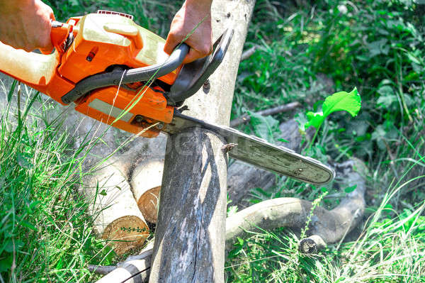 Kettensäge geschnitten Holz Schneiden elektrische Wald Stock foto © AlisLuch