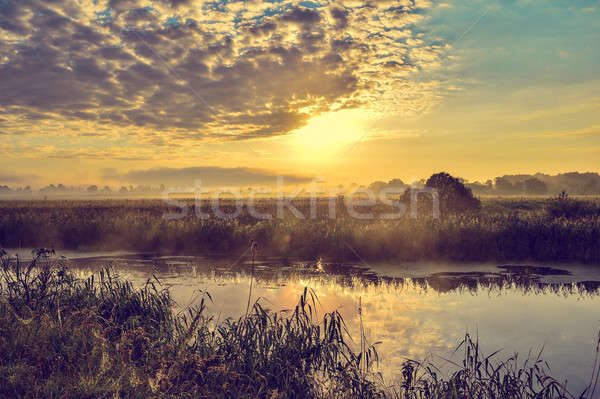 Photo with a sunny summer sunrise over the river Stock photo © AlisLuch