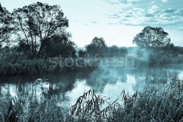 Photo with a sunny summer sunrise over the river Stock photo © AlisLuch