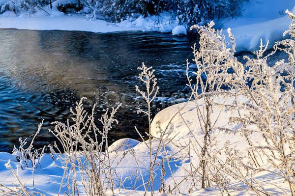 Inverno sereno panorama fiume foresta acqua Foto d'archivio © AlisLuch