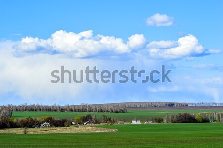 Verde campo nubi farm primavera Foto d'archivio © AlisLuch