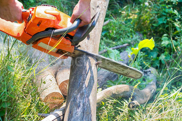 Kettensäge geschnitten Holz Schneiden elektrische Wald Stock foto © AlisLuch