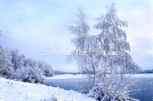 Winter landscape with trees, covered with hoarfrost and lake vie Stock photo © AlisLuch