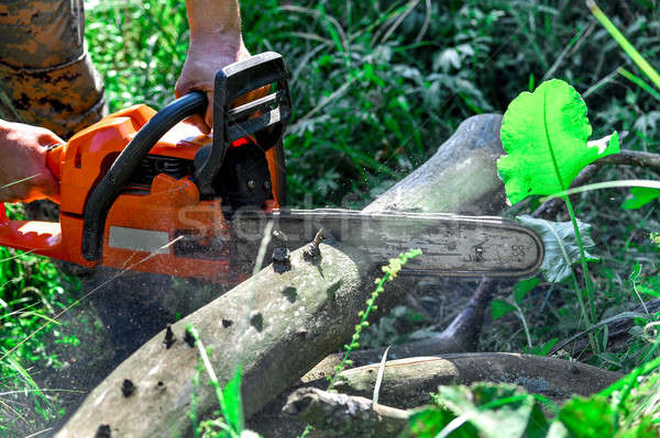 Piła łańcuchowa cięcia cięcie elektryczne lasu Zdjęcia stock © AlisLuch