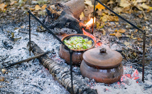 Arcilla olla carbón fuego naturaleza forestales Foto stock © AlisLuch