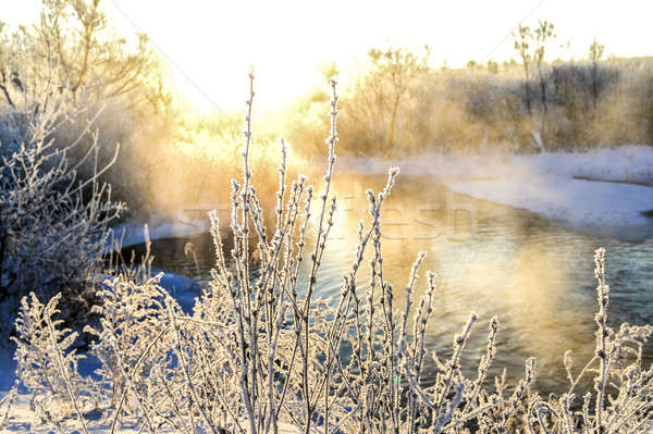 Winter sunny landscape with river and forest Stock photo © AlisLuch